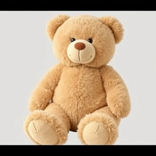 Plush Teddy Bear